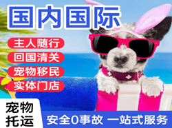 太平机场托运国际宠物托运 【国